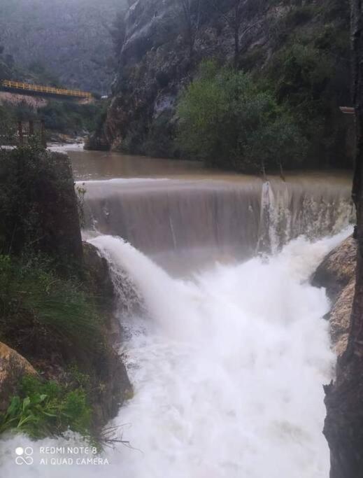 Samaruc Daire Planes Dış mekan fotoğraf